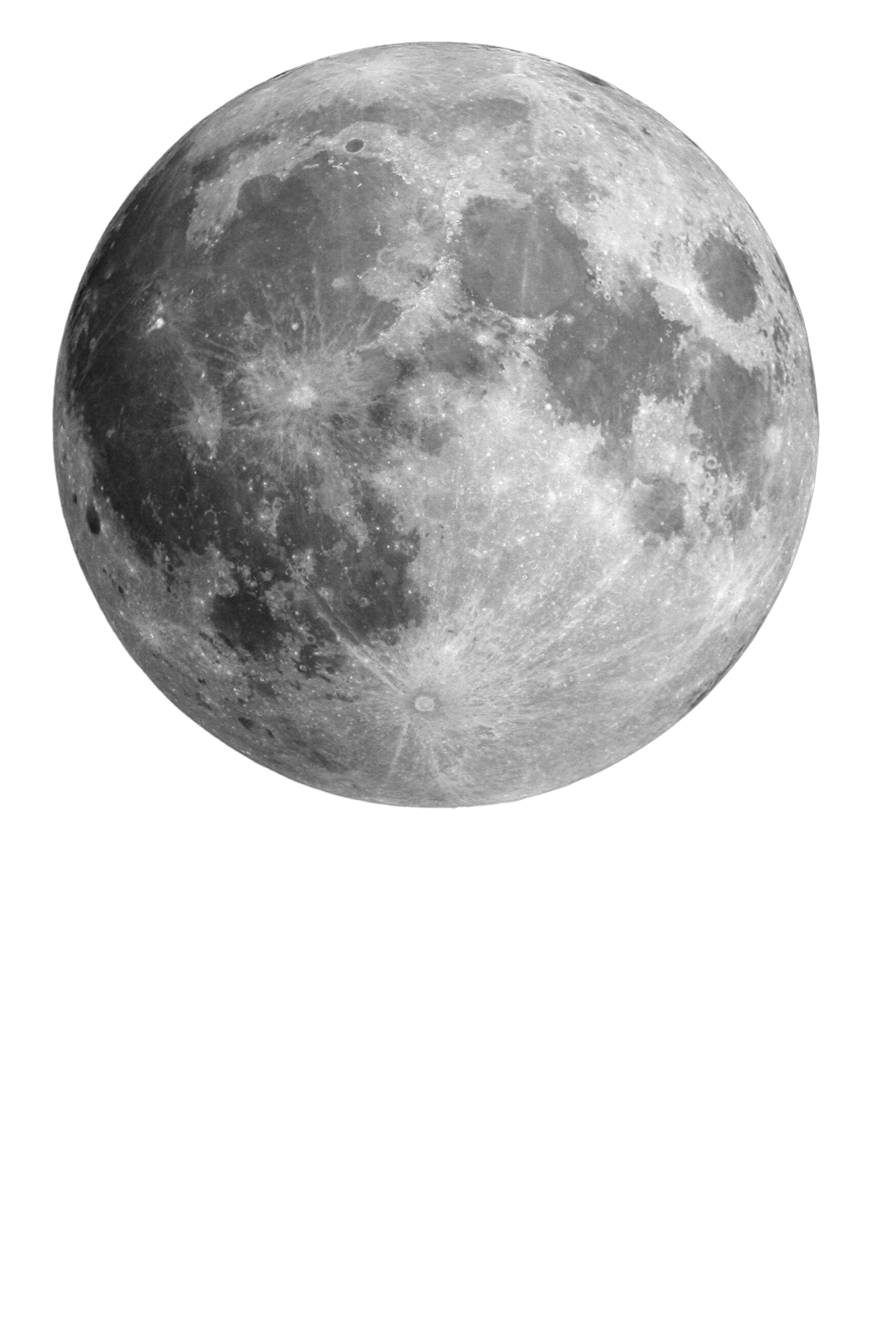 onkologia weterynaryjna Łódź