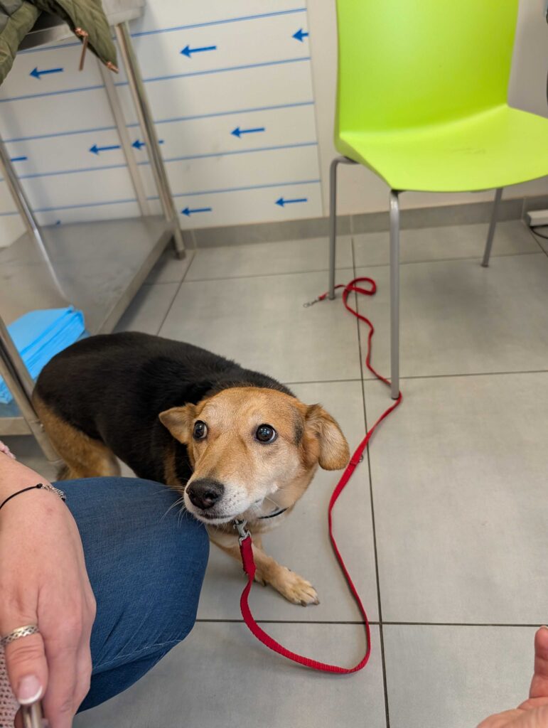 rak płaskonabłonkowy po chemioterapii