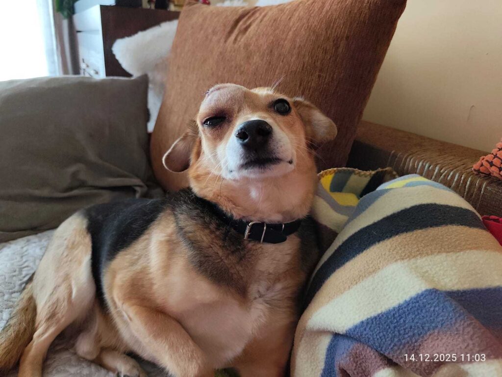 bronek z rakiem płaskonabłonkowym