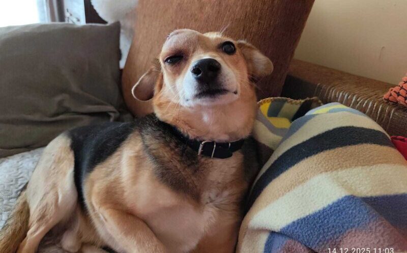 bronek z rakiem płaskonabłonkowym